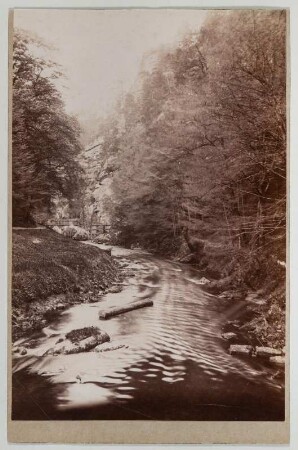 Böhmische Schweiz. Edmundsgrund. Blick gegen den alten Lachsfang (Flöß-Schütz). Fotografie von Hermann Krone (Kabinett: Albuminpapier auf grauer Pappe). 1891