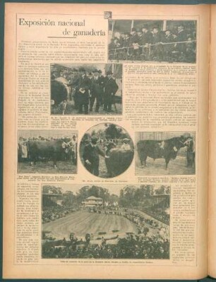 Exposición nacional de ganadería