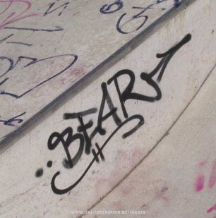 BEAR