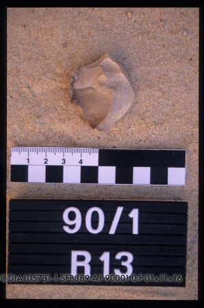 90/1, R13