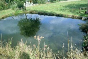 Teich zwischen Oelzer Straße und Grundstraße