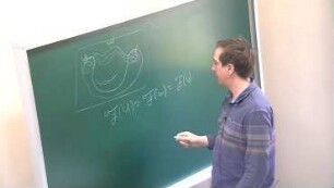 Factorization algebras in quantum, conformal, and topological Field Theory
