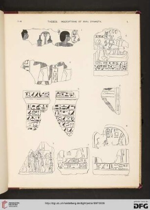 Plate I-XXVI