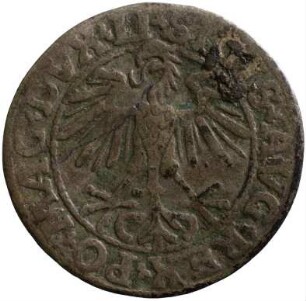 Münze, Kwartnik, 1550