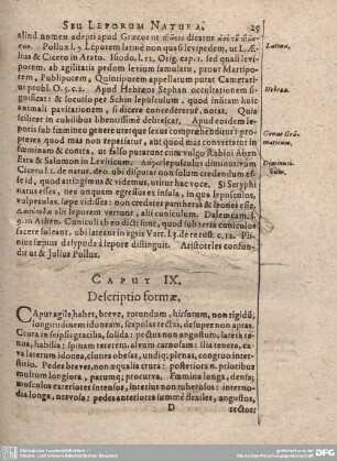 Caput IX. Descriptio formae.
