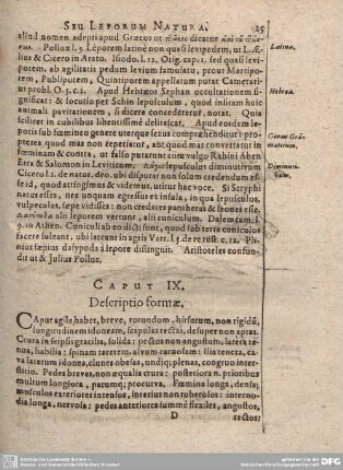 Caput IX. Descriptio formae.