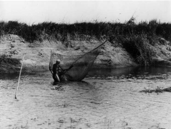 Fisherman with net in the water (calabash as raft ?)