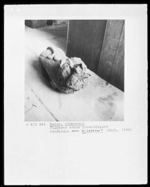 Fragment vom ehemaligen Westlettner des Mainzer Domes: Löwenkörper
