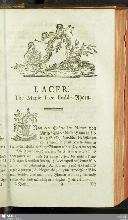 I. Acer. The Maple Tree. Erable. Ahorn