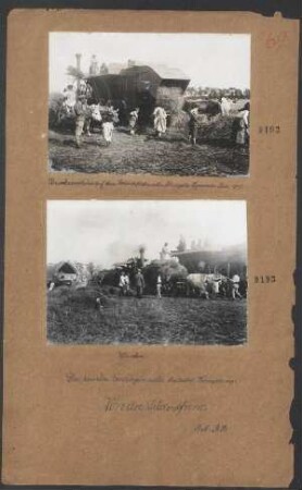 Dreschmaschine auf den Getreidefeldern des Kronguts Segarcea