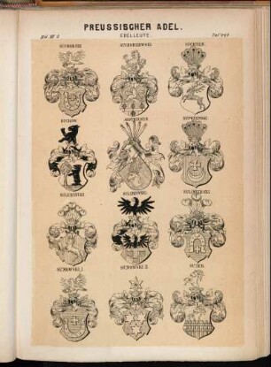 Taf. 447. Suchorski. - Suchorzewski. - Suchten. - Suckow. - Sudthausen. - Sufgzynski. - Sulerzycki. - Sulikowski. - Sulimierski. - Sumowski I. - Sumowski II. - Suter