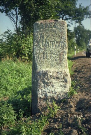 Timmerhorn: Grenzstein [Nr. 31] zwischen Gut Ahrensburg und Amt Tremsbüttel: Seite Ahrensburg