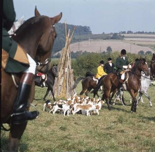 Start zur Parforce, einer Hetzjagd mit Hunden