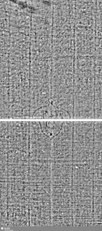 Hammer in Kartusche / FCR = S.5/6+13/14