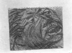 Männlicher Kopf : Männlicher Kopf. Kohlezeichnung; 38 x 48 mm (1919; E. Barlach). Ratzeburg: Privatbesitz
