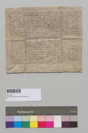 Dompropst Konrad und Viztum Albert von Regensburg vidimieren eine wörtlich inserierte Urkunde von Papst Bonifaz VIII. vom 13. Aug. 1297 (Urk. 56a), wonach der Bamberger Kirche die entfremdeten Besitzungen zu restituieren sind. S1: Dompropst Konrad v. Regensburg. S2: Viztum Albert v. Regensburg