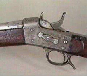 Karabiner M 1866, System Remington, Niederlande