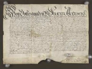 1705 Okt. 20. Lehnsbrief des Erzbischofs von Paderborn für Kleinsorgen.