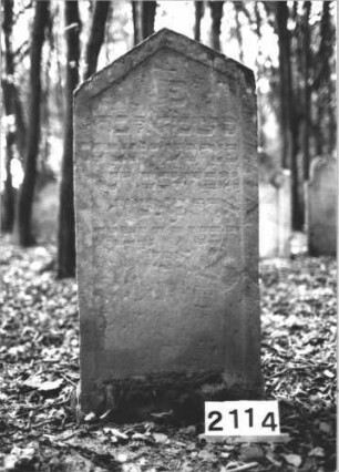 Grabstein 2114