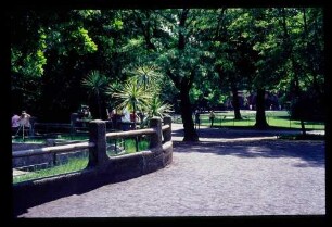 Zoo 3.6.67.