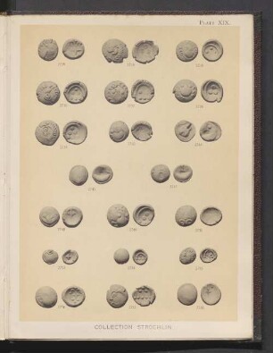 Plate XIX