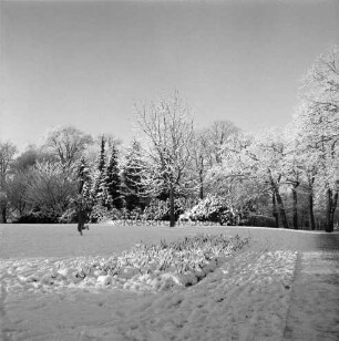 Kurpark: links Kind auf zugeschneiter Rasenfläche: hinten Büsche und Bäume: Winter