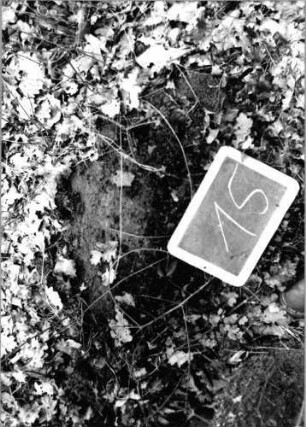 Grabstein 15 (Index: 100090608) Material: Sandstein Maße HxBxT: 0x0x0 cm Beschreibung: Fragment: Grabstein 15