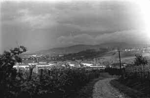 Merzhausen: Weg in den Weinbergen bei Merzhausen