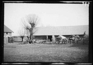 Kerkutwethen (=Kerkutvieèiai, Litauen): landwirtschaftliches Gebäude mit beladenen Pferdewägen davor
