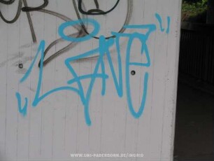"LANe"