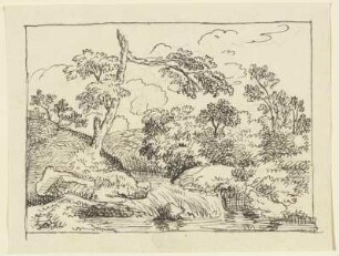 Gewässer mit geborstenem Baum