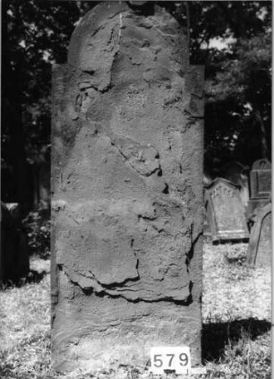 Grabstein 579 (Index: 99630081) Material: Sandstein Zustand: völlig abgeblättert Maße HxBxT: 170x66x8 cm Beschreibung: Stele mit eingezogenem Rundbogenabschluß: Grabstein 579