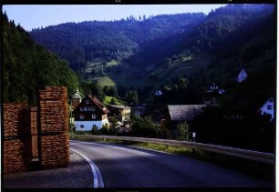Wildgutach: Sägewerk, Straße mit Holzstapel