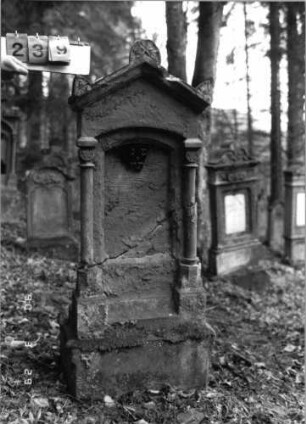 Grabstein 239 (neu: 731)