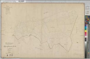 Assinghausen (Olsberg), Separation Assinghausen, Bl.6 Brouillonkarte I Flur 7,2