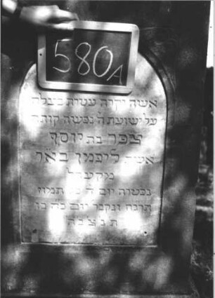 Grabstein 580 (Index: 100111460) Material: Sandstein, weiße Marmorplatte Zustand: gut Maße HxBxT: 161x71x23 cm Beschreibung: Stele, profilierter Sockel, Abdeckplatte mit Volutenaufsatz, Schriftplatte mit Rundbogenabschluß Symbolik: Voluten, Ranken, Blätter: Grabstein 580A