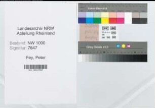 Entnazifizierung Peter Fey, geb. 01.09.1903 (Landessekretaer)