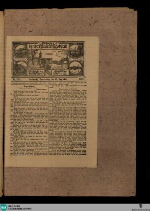 Badische Landes-Zeitung, Badisches Unterhaltungsblatt, Nr. 291