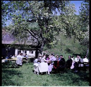 Vogtsburg: Gartenlokal unter Blüten