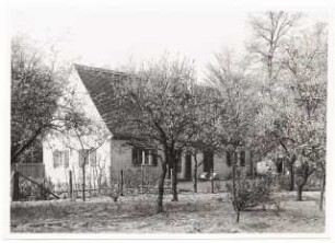 Siedlung Lendelsches Gelände, Potsdam-Bornstedt: Wohnhaus (Thunert, Baur ?) Gartenansicht