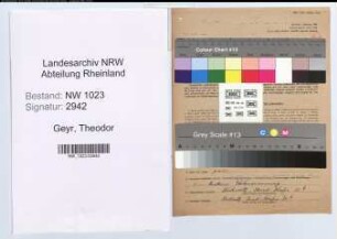 Entnazifizierung Theodor Geyr , geb. 30.09.1887 (Metzger)