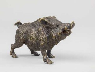Wildschwein
