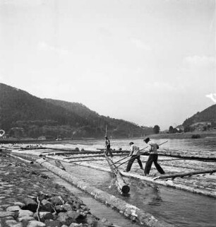 Ufer der Elbe mit Floßbauplatz. Drei Flößer bei Aufnahme von Oberladung