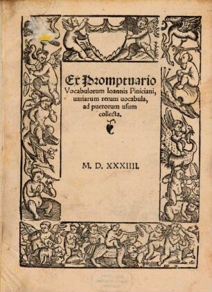 Contenta in hoc Libello Ioannis Piniciani breuis institutio De octo partibus orationis, Cum uulgari interpretatione uocabulo[rum]