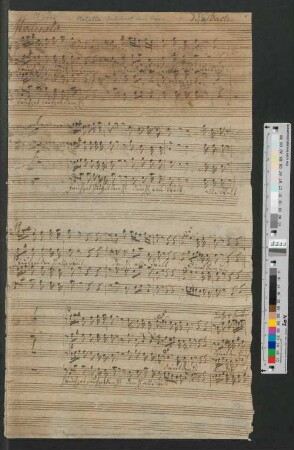 Jauchzet dem Herrn alle Welt (BWV Anh.3:160) : Motette für achtstimmigen Doppelchor