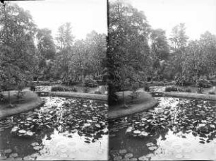 Buitenzorg (Bogor), Java/Indonesien. Botanischer Garten (1817; K. G. K. Reinwardt). Lotusteich mit Steg. Stereoaufnahme