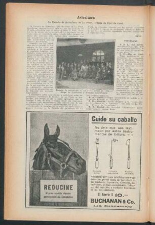 Avicultura : La Escuela de Avicultura de La Plata.- Fiesta de final de curso.