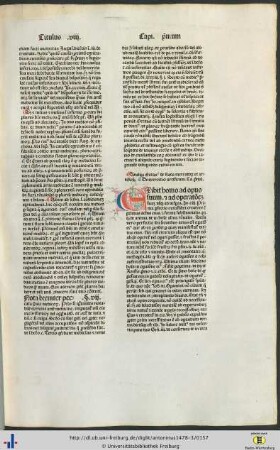 Titulus octavus