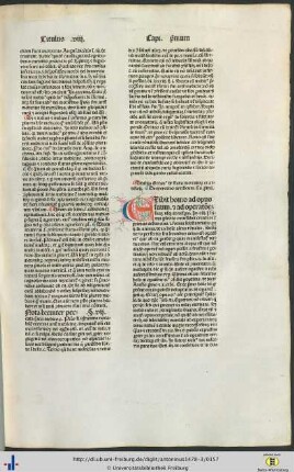 Titulus octavus