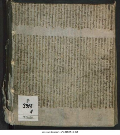 Delineatio Organi Aristotelei Thesibus comprehensa